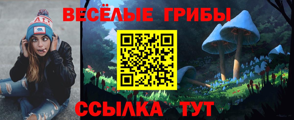 Галлюциногенные грибы Psilocybe Михайловка