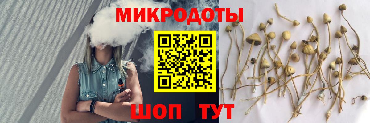 Галлюциногенные грибы GOLDEN TEACHER  что такое наркотик  Михайловка  Вход с VPN 
