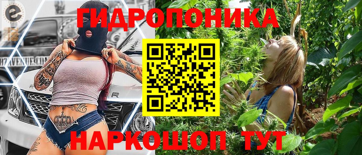 Бошки марихуана планчик Михайловка